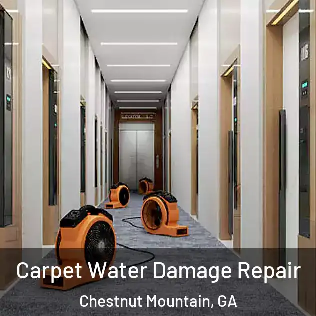  Carpet Water Damage Repair Chestnut Mountain, GA