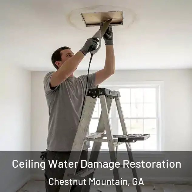  Ceiling Water Damage Restoration Chestnut Mountain, GA