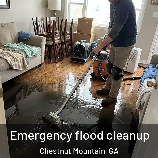  Emergency flood cleanup Chestnut Mountain, GA