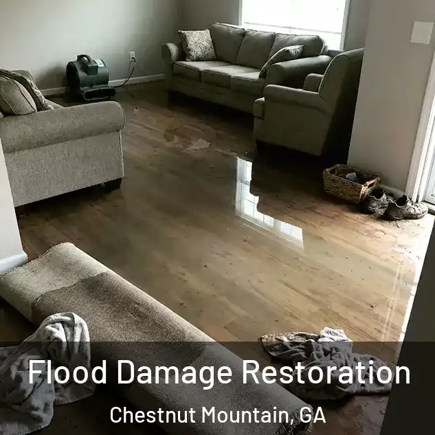  Flood Damage Restoration Chestnut Mountain, GA