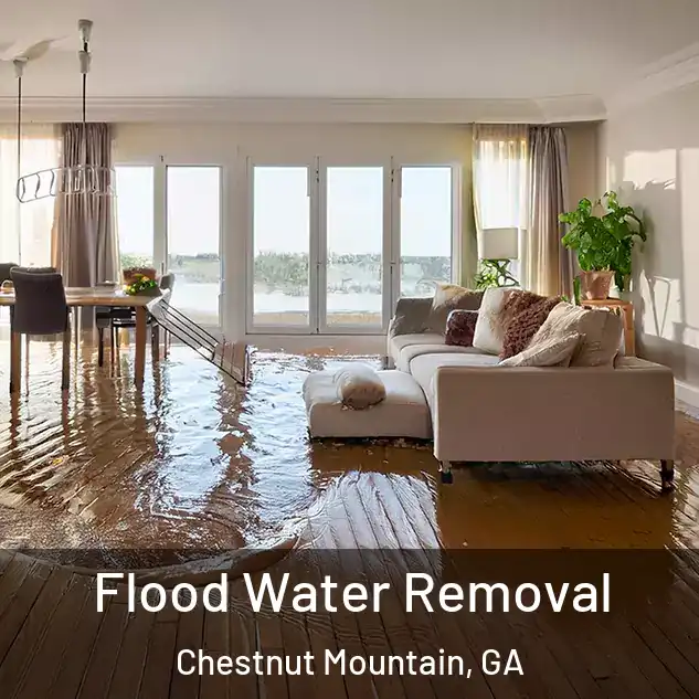  Flood Water Removal Chestnut Mountain, GA