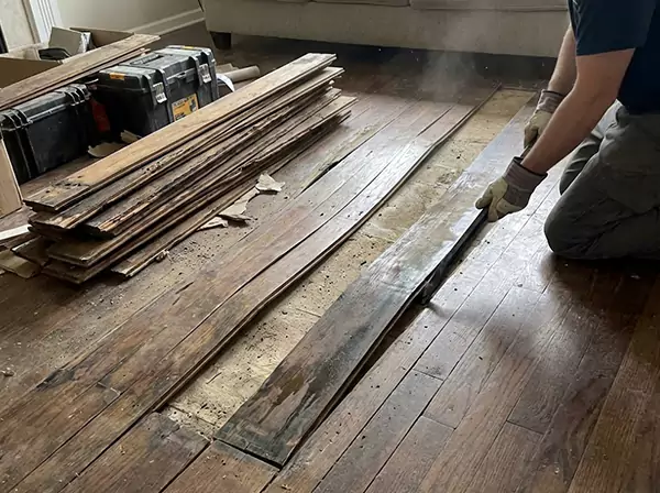 Water Damage Drying in Chestnut Mountain
