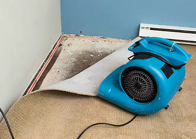 Your Water Damage Experts in Chestnut Mountain, GA