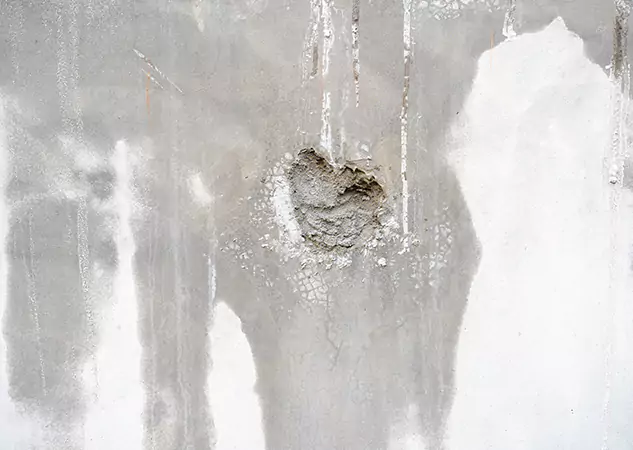 Your Mold Mitigation Solutions Partner in Chestnut Mountain, GA