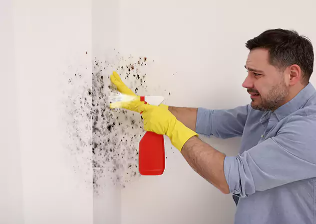Your Water Mold Fire Restoration Partner in Chestnut Mountain, GA