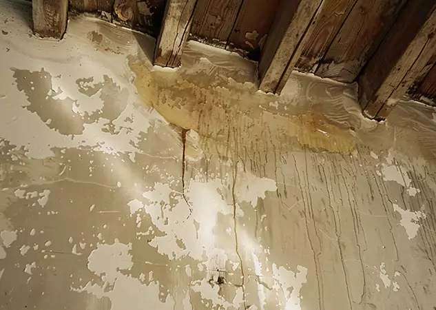 Your Trusted Restoration Company in Chestnut Mountain, GA