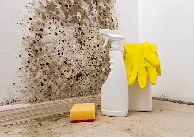 Your Reliable Restoration Company in Chestnut Mountain, GA