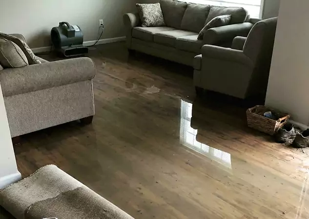 Your Trusted Restoration Company in Chestnut Mountain, GA
