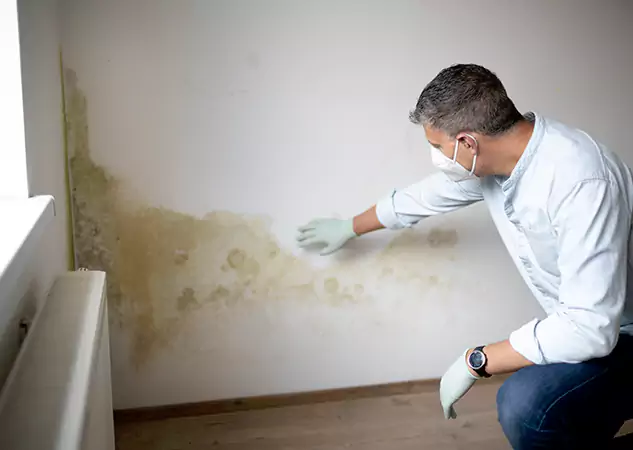 Reach Our Remediation Team Before Damage Grows in Chestnut Mountain, GA!