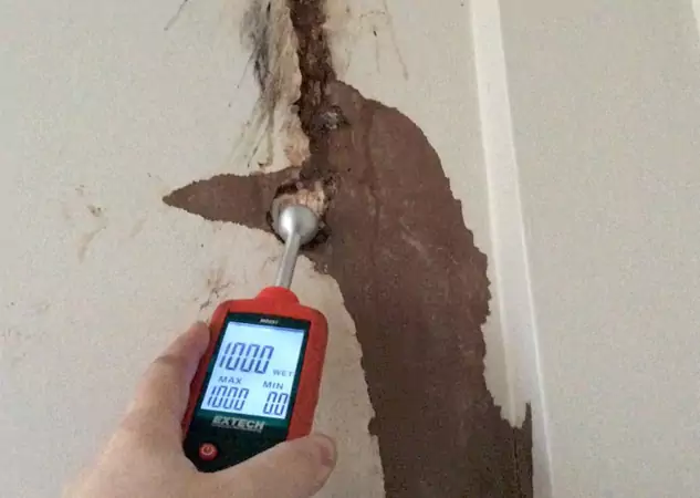Your Water Damage Assessment Partner in Chestnut Mountain, GA