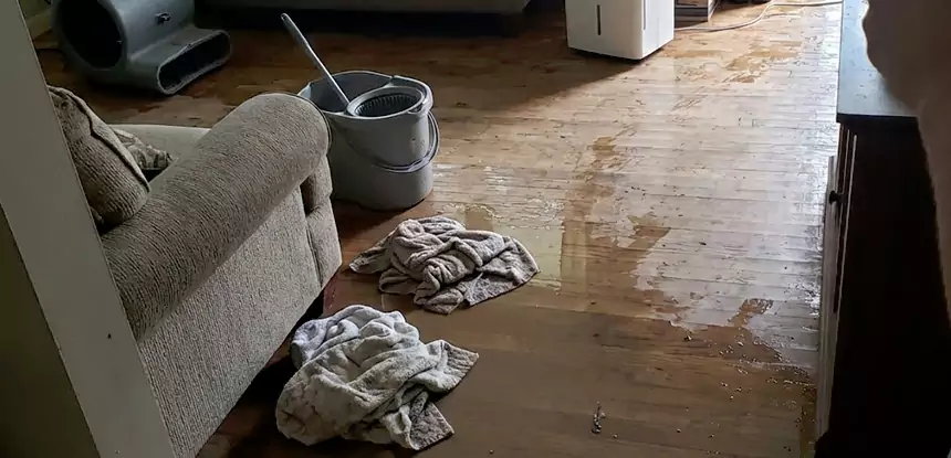 Professional Basement Water Remediation Services in Chestnut Mountain, GA