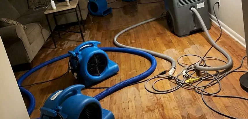 Basement Flood Restoration Services in Chestnut Mountain