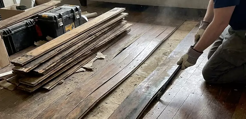 Wood Rot and Fungus Repair in Chestnut Mountain