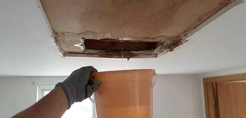 Ceiling Mold Repair Chestnut Mountain 