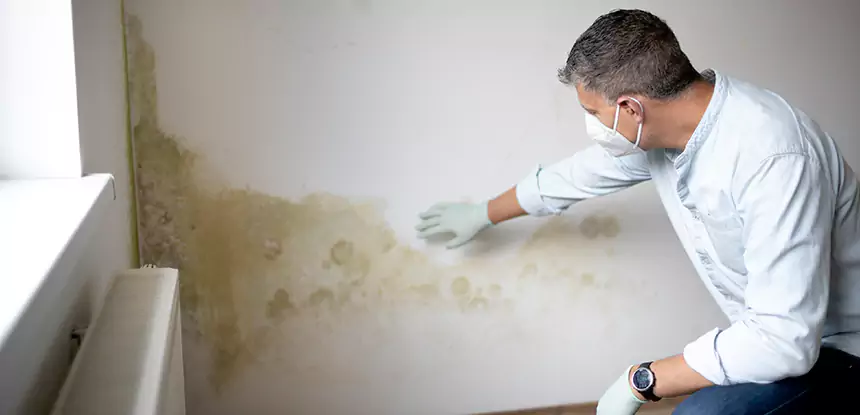 Mold and Water Damage Repair in Chestnut Mountain