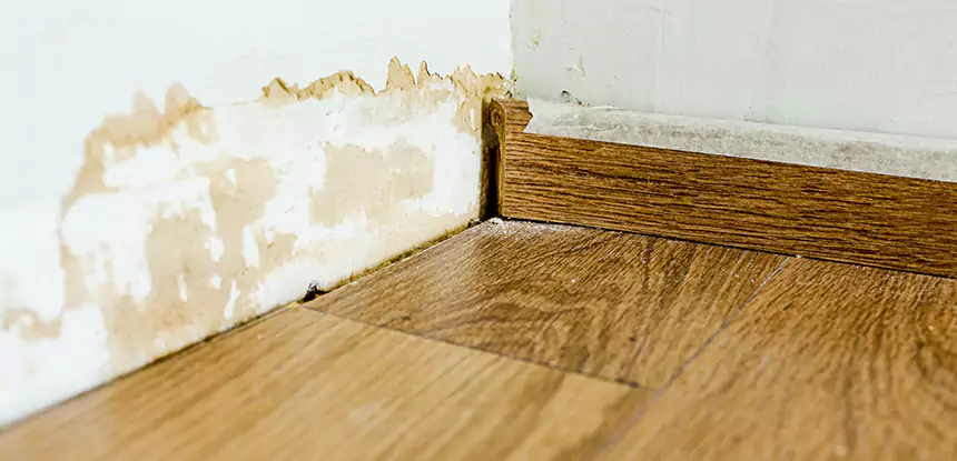 Professional Fix Water Damaged Wood Services in Chestnut Mountain, GA