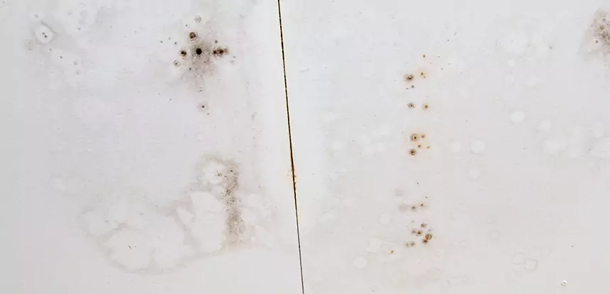 Professional Water Stain Repair Services in Chestnut Mountain, GA