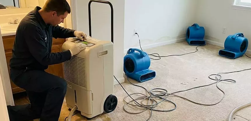 Professional Wet Carpet Removal Services in Chestnut Mountain, GA