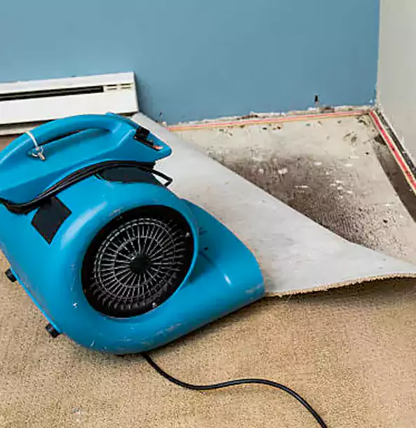 Why Chestnut Mountain Trusts Chestnut Mountain Restoration Pro for Carpet Flood Recovery?