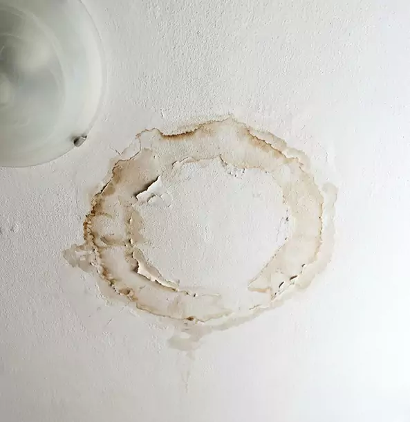 Why Chestnut Mountain Property Owners Choose Chestnut Mountain Restoration Pro for Ceiling Water Damage Restoration?