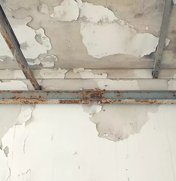 Why Chestnut Mountain Restoration Pro Is the Right Choice in Chestnut Mountain, GA?