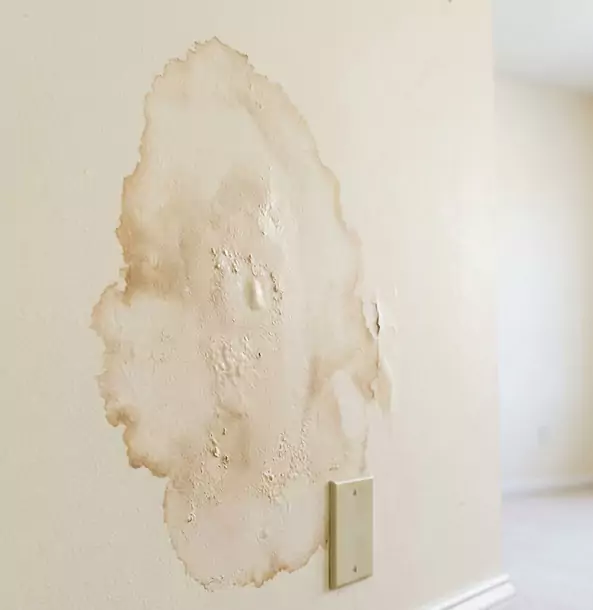 Why Chestnut Mountain Homeowners Trust Chestnut Mountain Restoration Pro for Drywall Restoration?