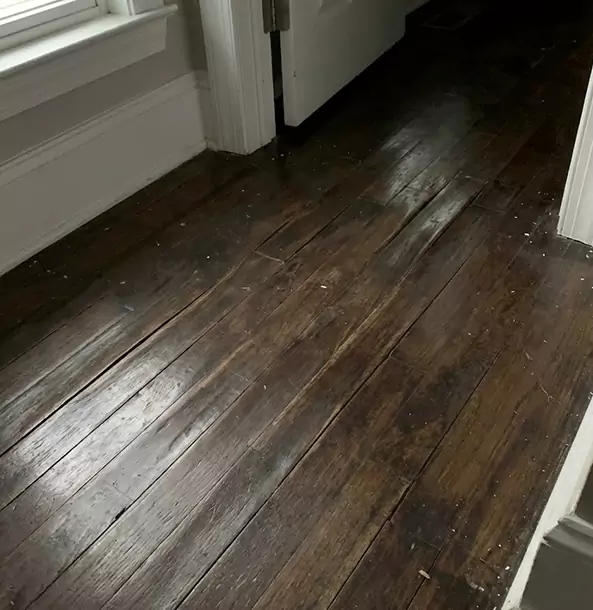 Why Chestnut Mountain Homeowners Trust Chestnut Mountain Restoration Pro to Fix Water Damaged Wood?