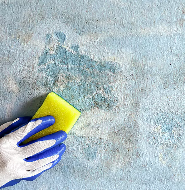 Why Chestnut Mountain Restoration Pro Is the Right Choice in Chestnut Mountain, GA?