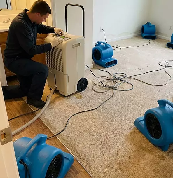 Why Chestnut Mountain Homeowners and Businesses Trust Chestnut Mountain Restoration Pro for Carpet Drying?