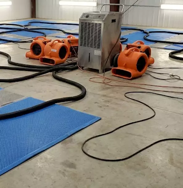 Why Chestnut Mountain Homeowners and Businesses Choose Chestnut Mountain Restoration Pro for Wet Carpet Removal?