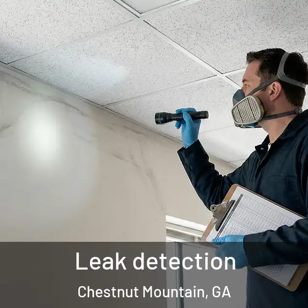  Leak detection Chestnut Mountain, GA
