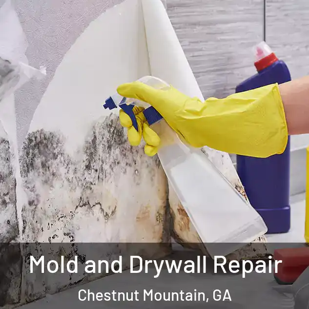  Mold and Drywall Repair Chestnut Mountain, GA