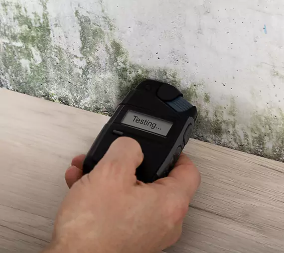 Mold Remediation Service Chestnut Mountain