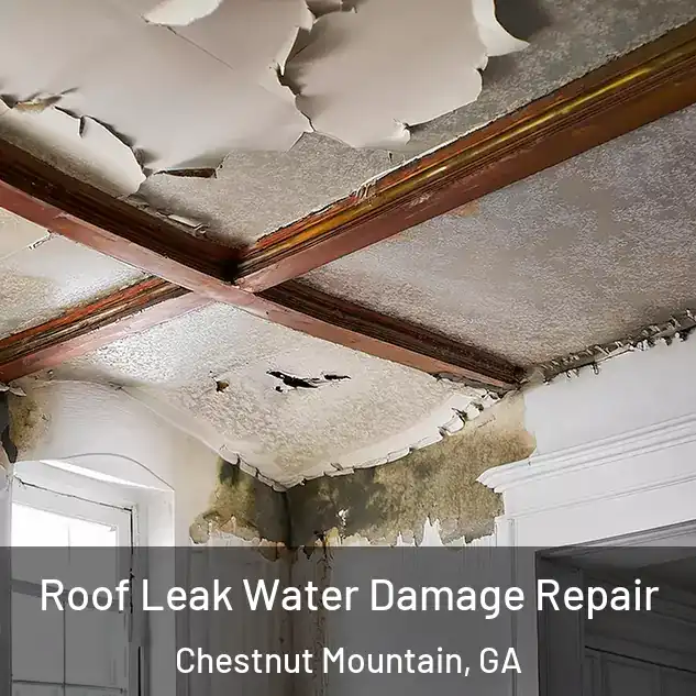  Roof Leak Water Damage Repair Chestnut Mountain, GA