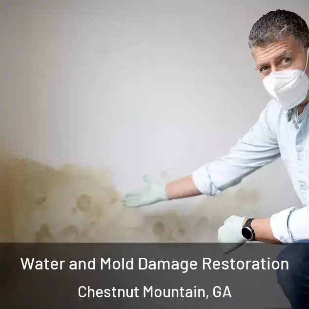  Water and Mold Damage Restoration Chestnut Mountain, GA