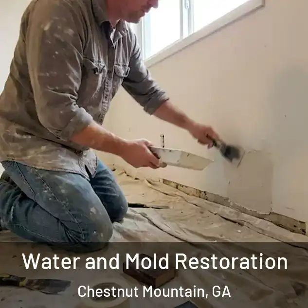  Water and Mold Restoration Chestnut Mountain, GA
