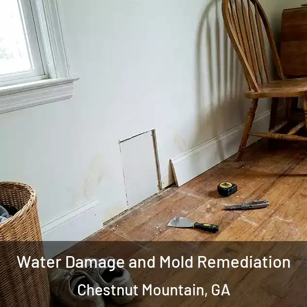  Water Damage and Mold Remediation Chestnut Mountain, GA
