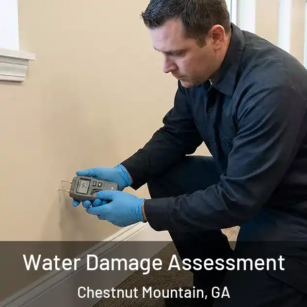  Water Damage Assessment Chestnut Mountain, GA