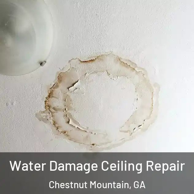  Water Damage Ceiling Repair Chestnut Mountain, GA