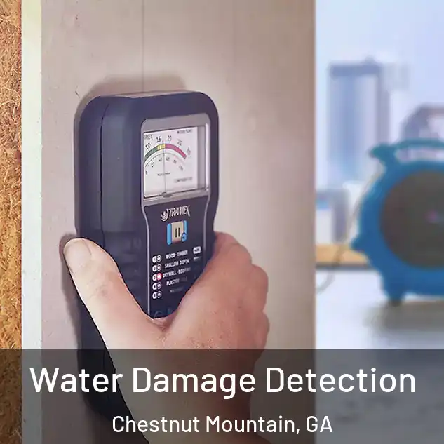  Water Damage Detection Chestnut Mountain, GA
