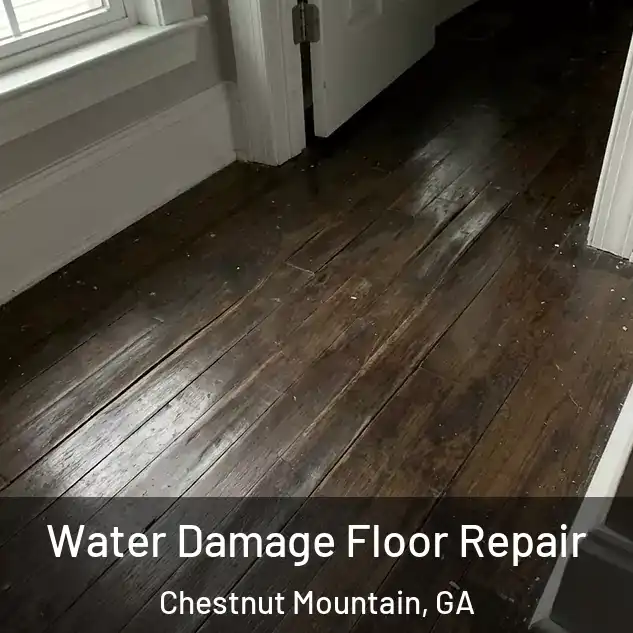  Water Damage Floor Repair Chestnut Mountain, GA