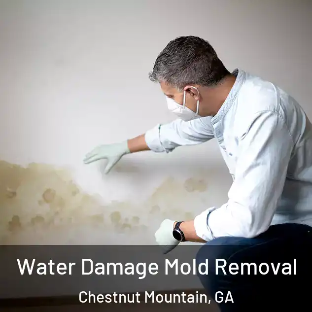  Water Damage Mold Removal Chestnut Mountain, GA