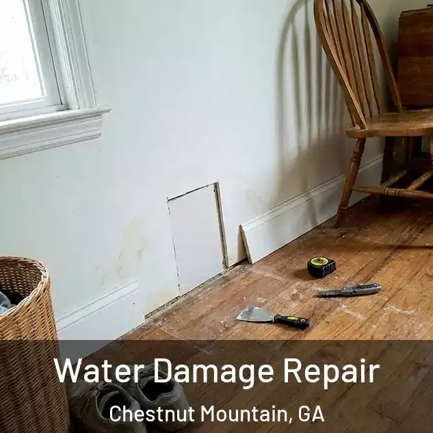  Water Damage Repair Chestnut Mountain, GA