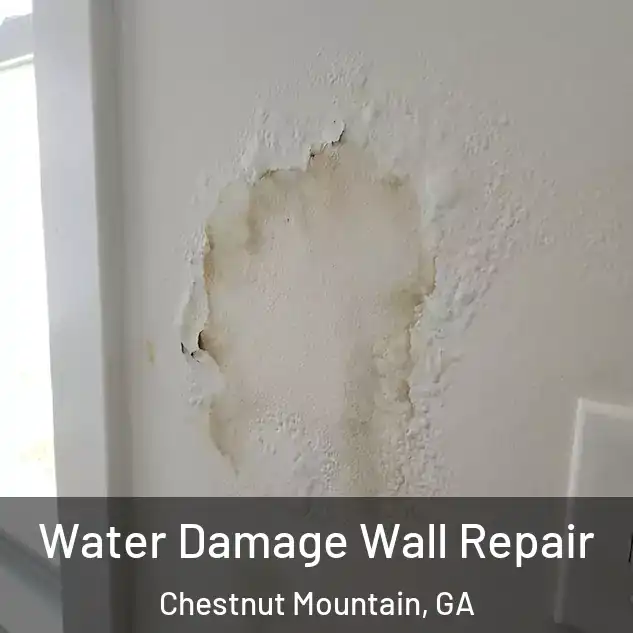  Water Damage Wall Repair Chestnut Mountain, GA