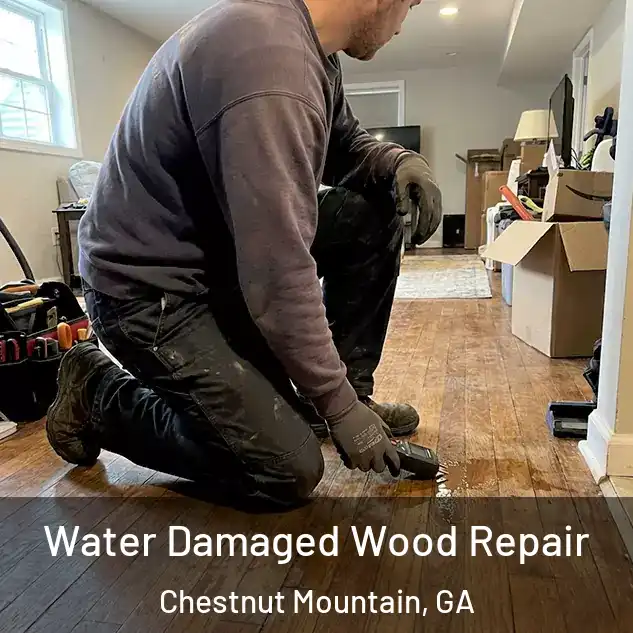  Water Damaged Wood Repair Chestnut Mountain, GA
