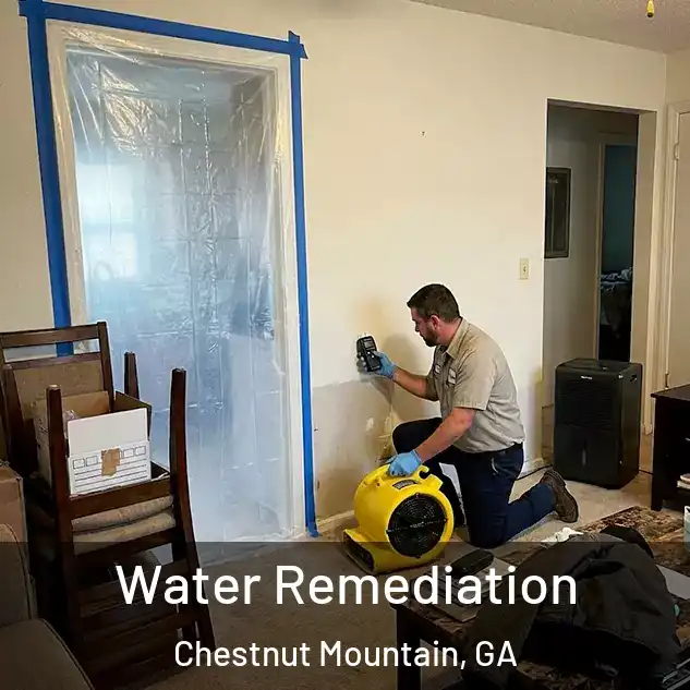  Water Remediation Chestnut Mountain, GA