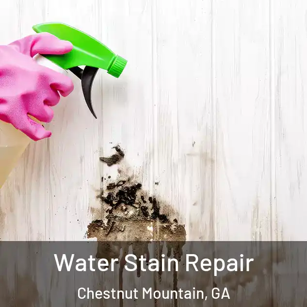  Water Stain Repair Chestnut Mountain, GA