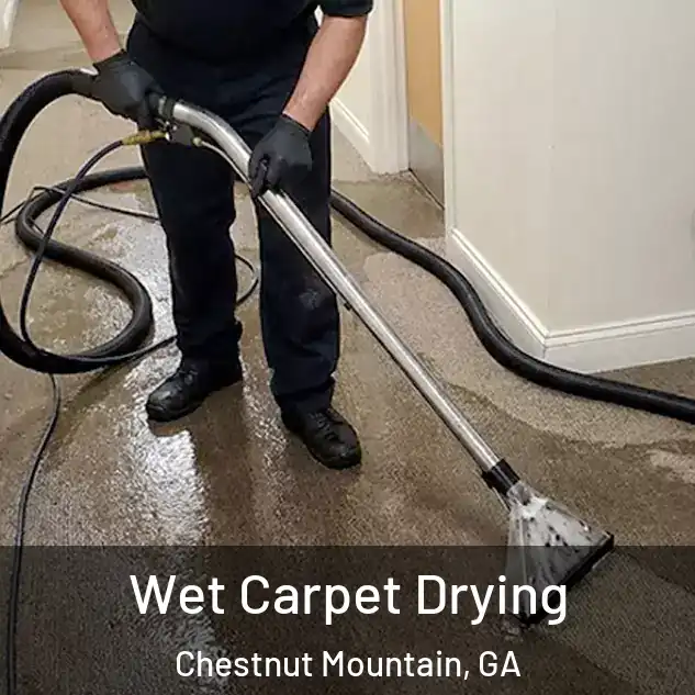 Wet Carpet Drying Chestnut Mountain, GA